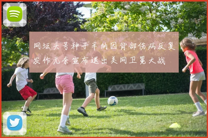 网坛头号种子辛纳因背部伤病反复发作无奈宣布退出美网卫冕大战