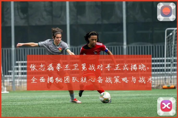 张志磊拳王卫冕战对手正式揭晓，全面揭秘团队核心备战策略与战术
